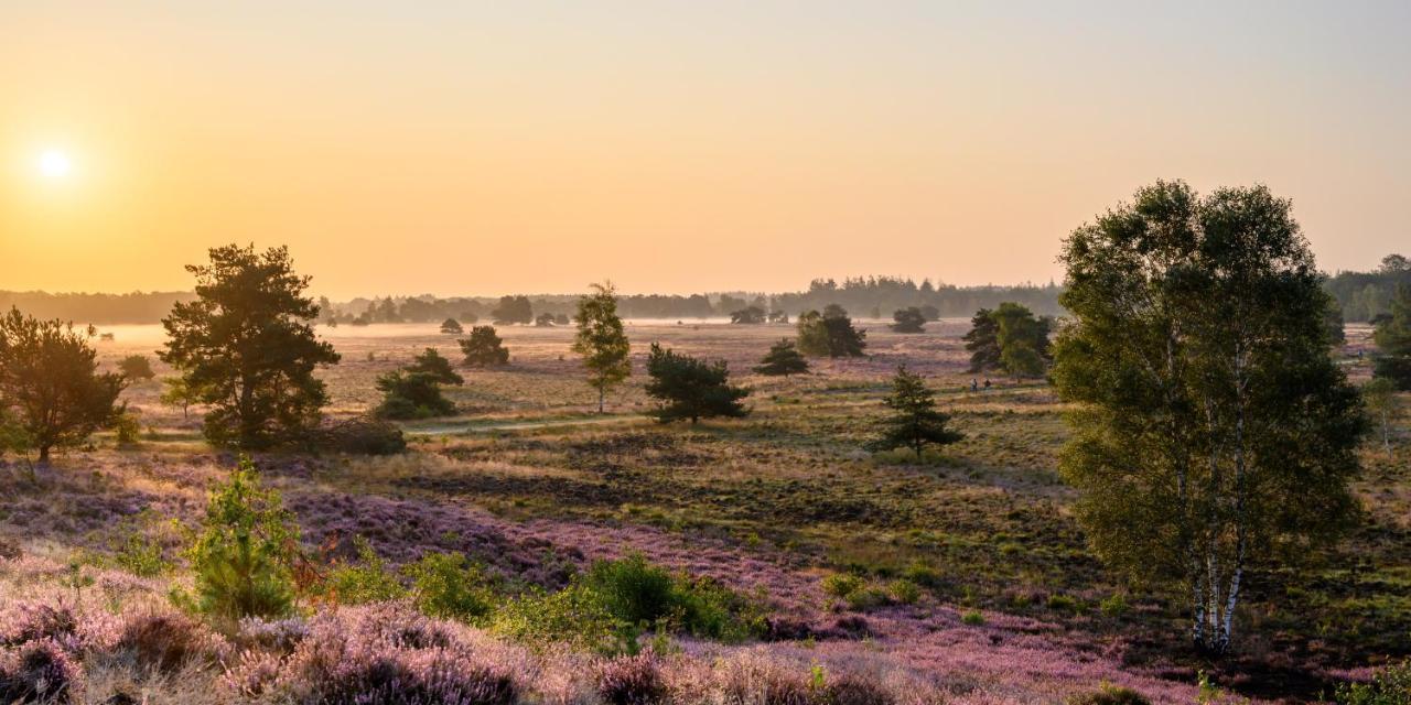 Herberg De Zwaan Elspeet Exterior foto