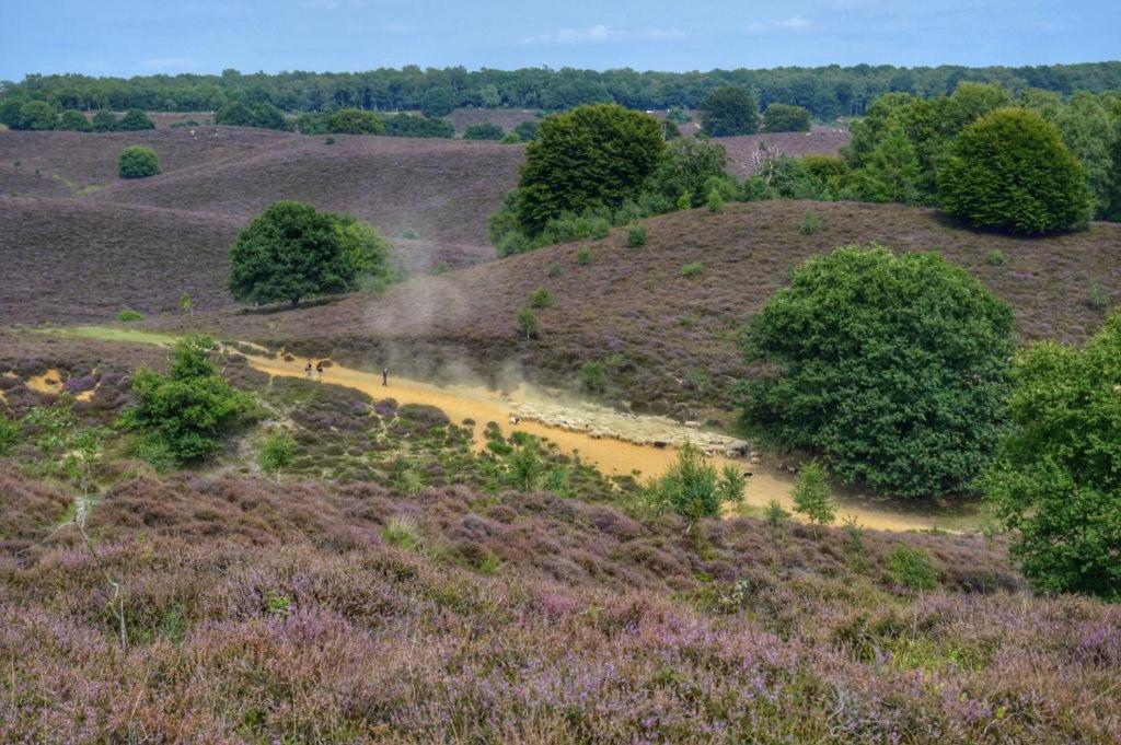 Herberg De Zwaan Elspeet Exterior foto