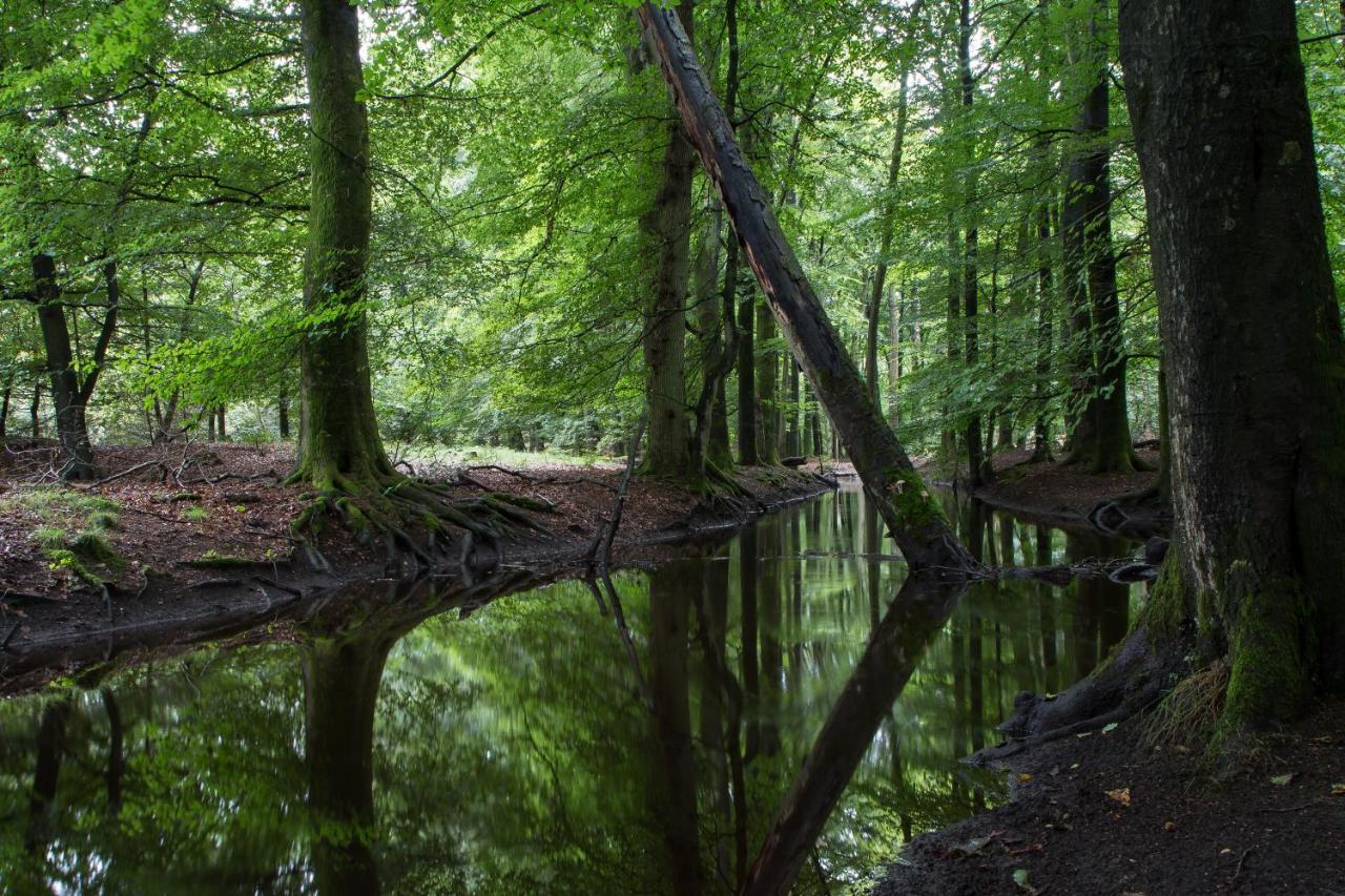 Herberg De Zwaan Elspeet Exterior foto